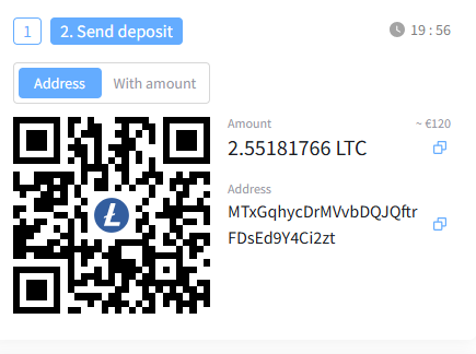 LTC amount and wallet address shown on checkout page