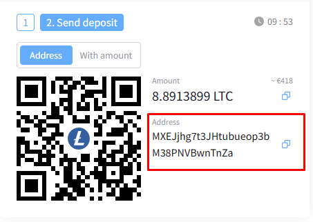 LTC wallet address on checkout page