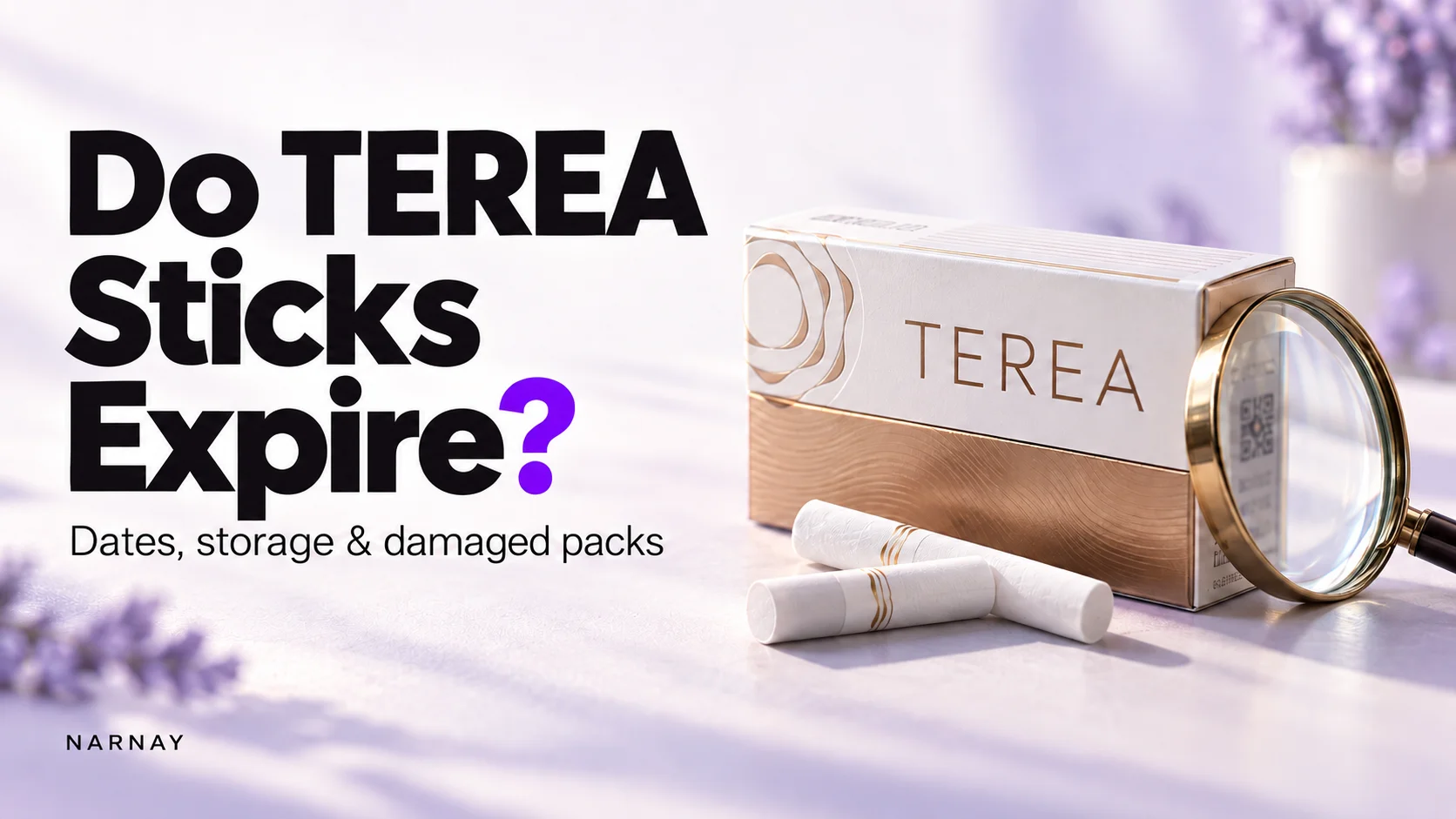 TEREA pack and sticks beside a magnifying glass, illustrating a guide to expiry dates and storage.